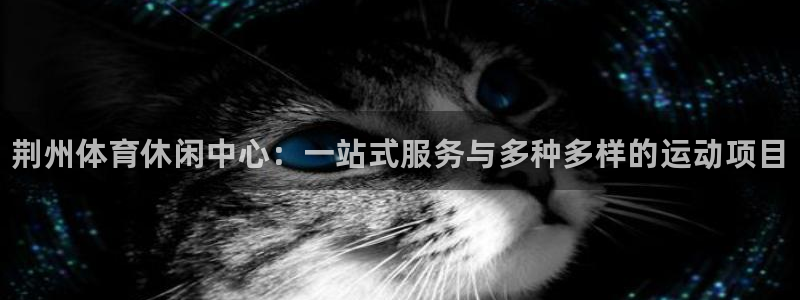 一竞技官网下载平台：荆州体育休闲中心：一站式服务与多种多样的
