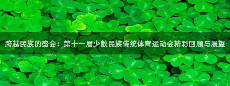 一竞技官网下载平台假的吗是真的吗：跨越民族的盛会：第十一届少
