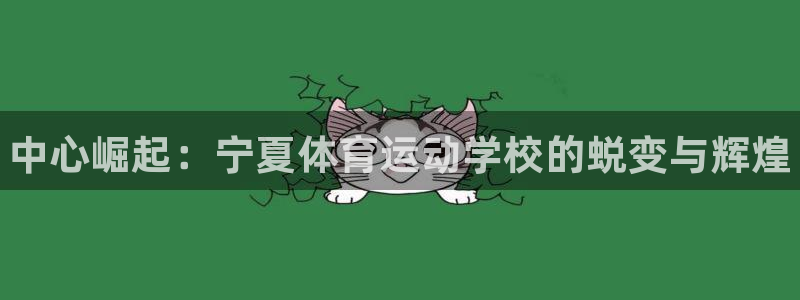 一竞技官网下载平台注册流程图：中心崛起：宁夏体育运动