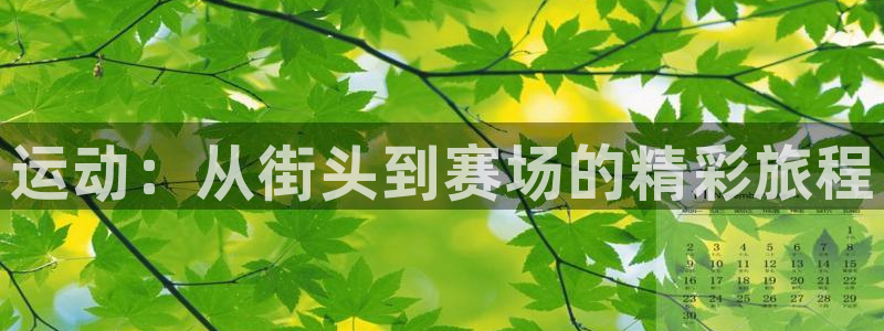 一竞技官网下载招商电话地址：运动：从街头到赛场的精彩旅程