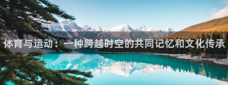 一竞技官方正版app娱乐40996：体育与运动：一种