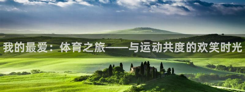 一竞技官方正版app神州：我的最爱：体育之旅——与运