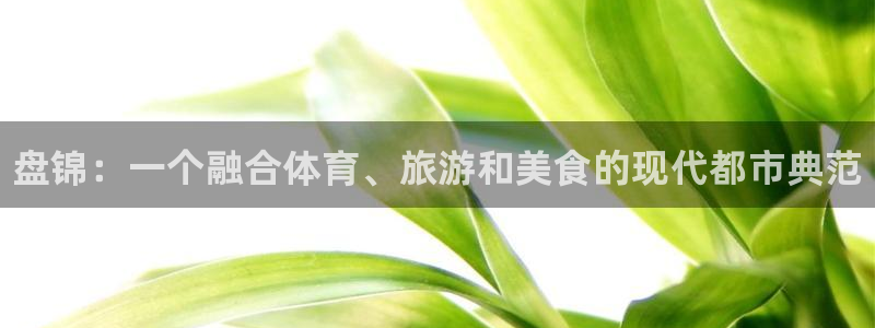 一竞技官方正版app娱乐代理怎么样：盘锦：一个融合体