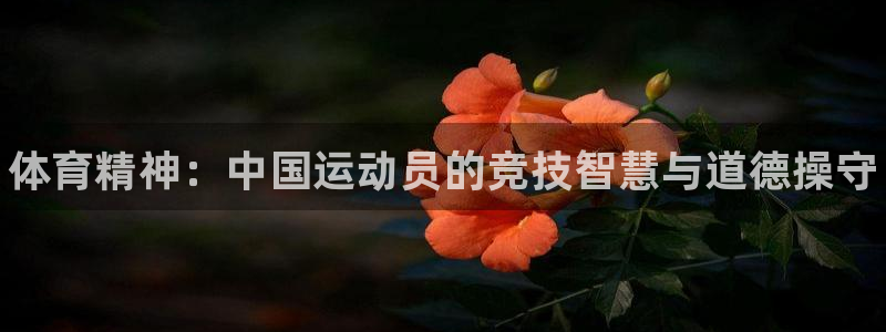 一竞技官网下载招商电话号码查询：体育精神：中国运动员