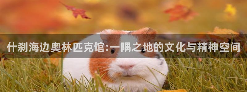 一竞技官方正版app娱乐首页官网下载