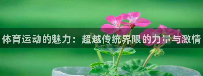 一竞技官网下载软件：体育运动的魅力：超越传统界限的力