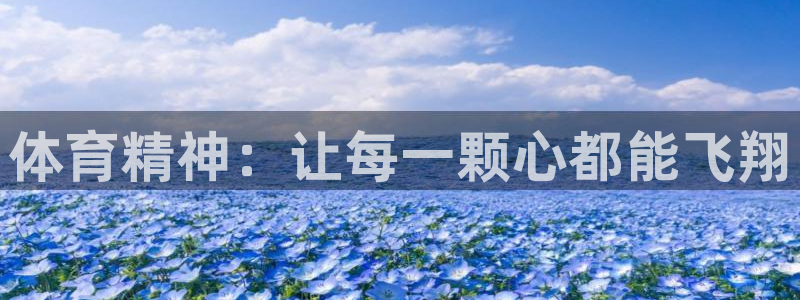 一竞技官方正版app娱乐40996：体育精神：让每一颗心都能