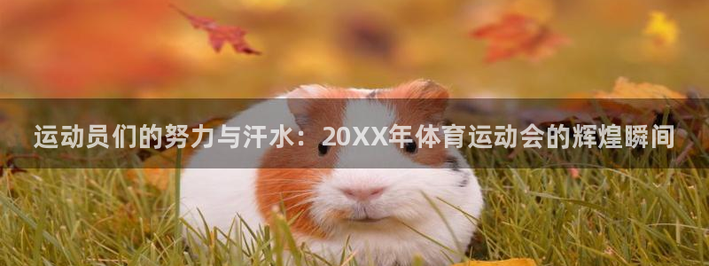 一竞技官网下载招商电话地址：运动员们的努力与汗水：20XX年