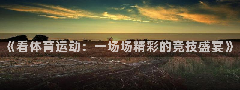 一竞技官网下载平台注册流程视频：《看体育运动：一场场