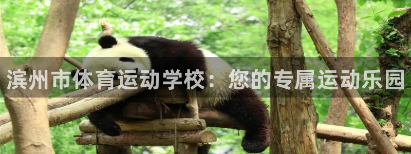 一竞技官方正版app娱乐网站：滨州市体育运动学校：您的专属运