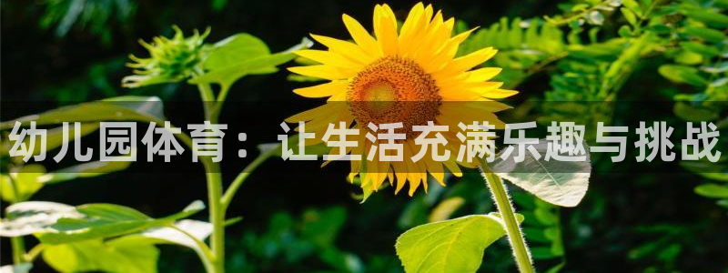 一竞技官网下载平台假的吗是真的吗吗：幼儿园体育：让生活充满乐