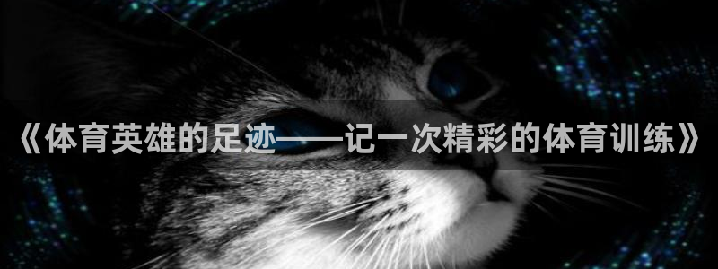 一竞技官方正版app娱乐40996：《体育英雄的足迹