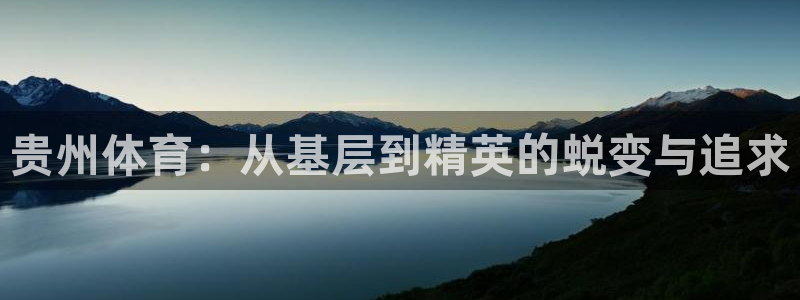 一竞技官方正版app集团简介