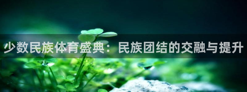 德国一竞技官方正版app集团：少数民族体育盛典：民族