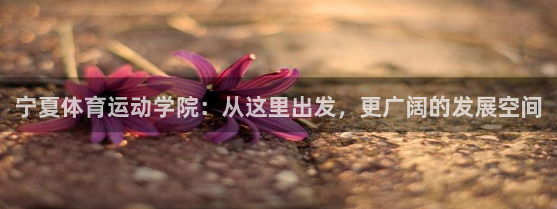 一竞技官网下载招商电话号码查询是多少：宁夏体育运动学院：从这