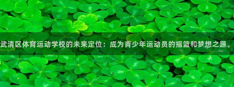 一竞技官方正版app娱乐是那个系列的台子：武清区体育运动学校