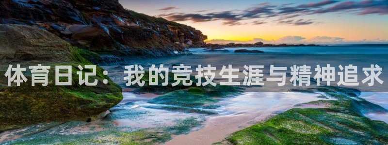 一竞技官方正版app代理：体育日记：我的竞技生涯与精神追求