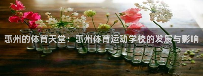注册一竞技官方正版app：惠州的体育天堂：惠州体育运动学校的