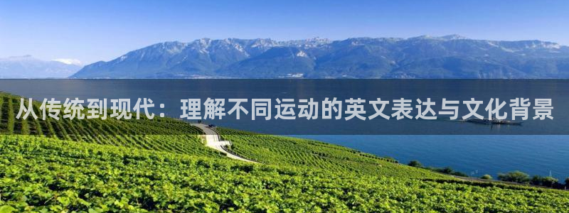 一竞技官网下载平台假的吗是真的吗：从传统到现代：理解不同运动