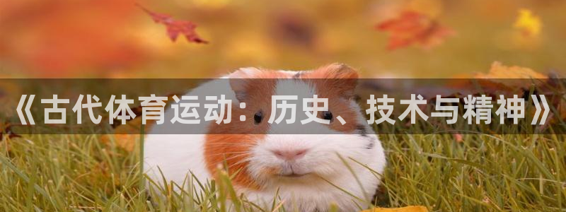 一竞技官网地址：《古代体育运动：历史