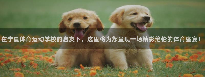一竞技下载：在宁夏体育运动学校的启发