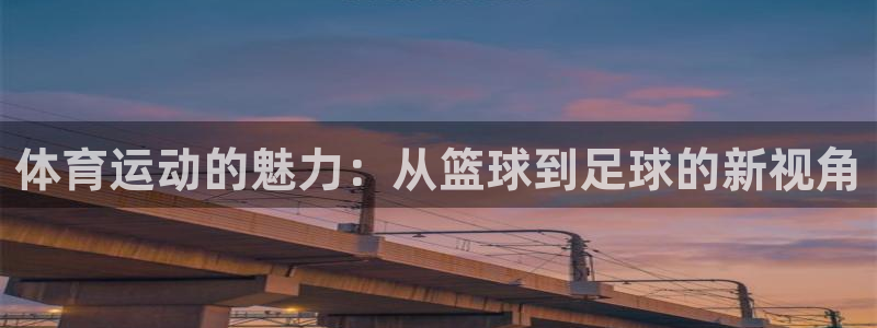一竞技官网：体育运动的魅力：从篮球到