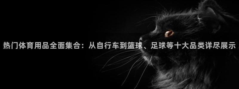  一竞技测速站网址是什么：热门体育用品全面集合：从自行车到篮球