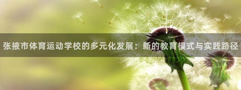  一竞技app官方网站：张掖市体育运动学校的多元化发展：新的教