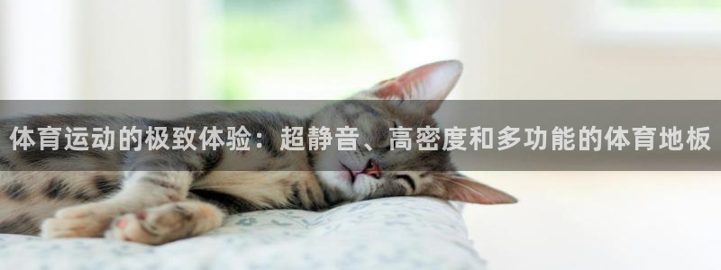 一竞技登录入口：体育运动的极致体验：