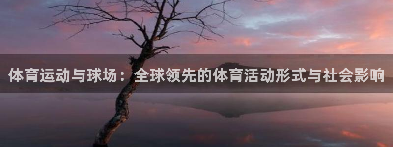  一竞技DOTA2选手Saksa：体育运动与球场：全球领先的体