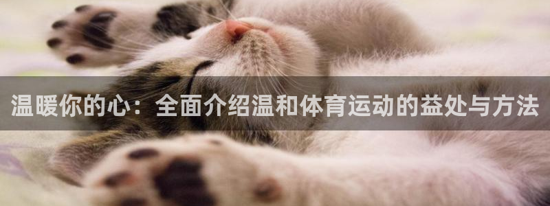 一竞技one卡安不安全：温暖你的心：全面介绍温和体育运动的益