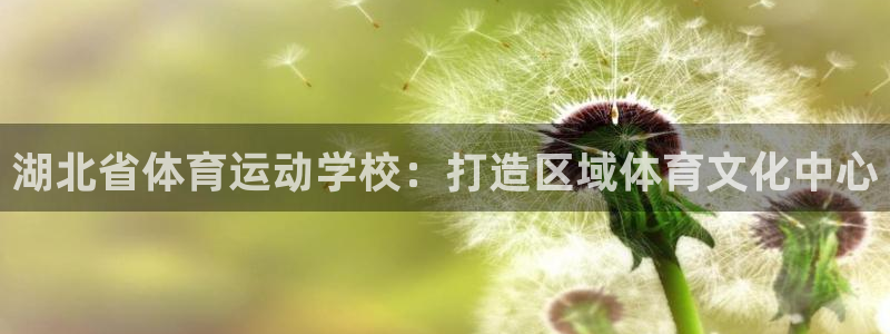  一竞技下载：湖北省体育运动学校：打造区域体育文化中心