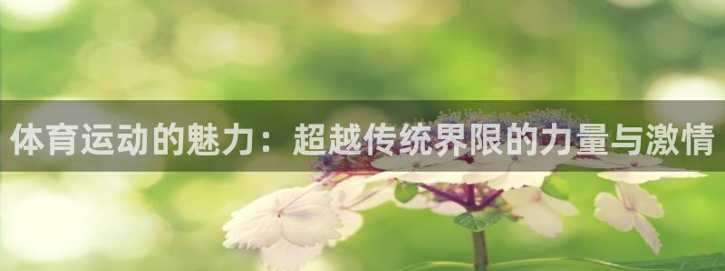 一竞技平台提现不出：体育运动的魅力：超越传统界限的力量与激情