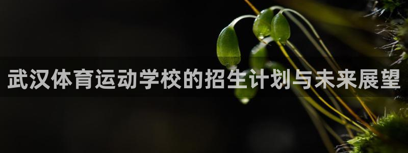  一竞技官网下载安装：武汉体育运动学校的招生计划与未来展望