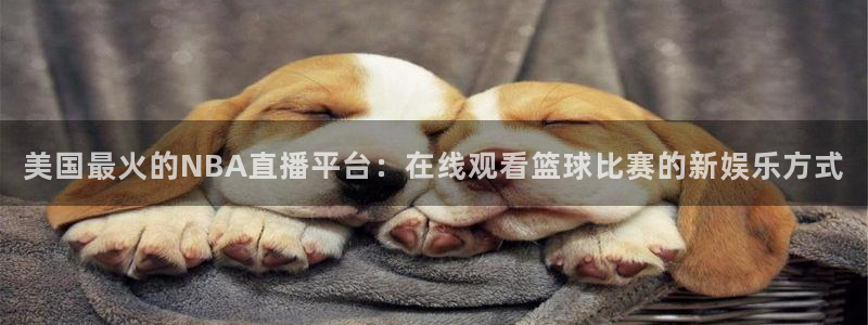 so米直播nba直播：美国最火的NBA直播平台：在线观看篮球比赛的新娱乐方式