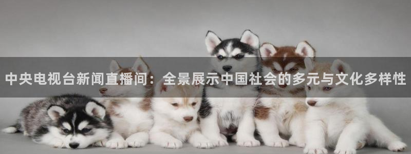 so米体育直播在线直播：中央电视台新闻直播间：全景展示中国社会的多元与文化多样性