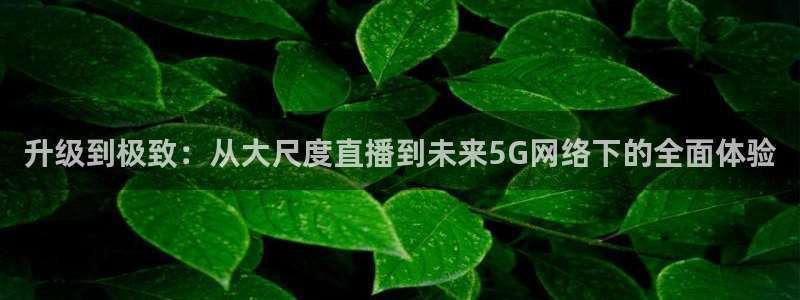 so米体育直：升级到极致：从大尺度直播到未来5G网络下的全面体验