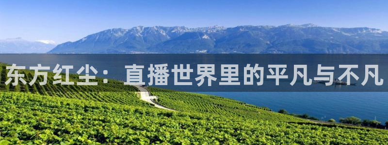 so米体育直播官网：东方红尘：直播世界里的平凡与不凡