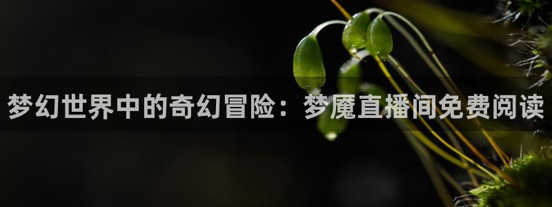 so米足球直播免费观看：梦幻世界中的奇幻冒险：梦魇直播间免费阅读