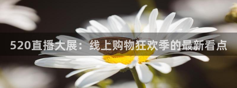 so米体育直播app下载：520直播大展：线上购物狂欢季的最新看点