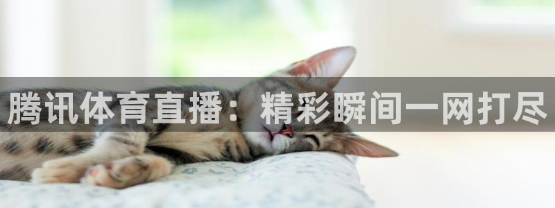 so米体育nba免费直播：腾讯体育直播：精彩瞬间一网打尽