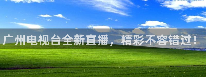 nba so米直播：广州电视台全新直播，精彩不容错过！