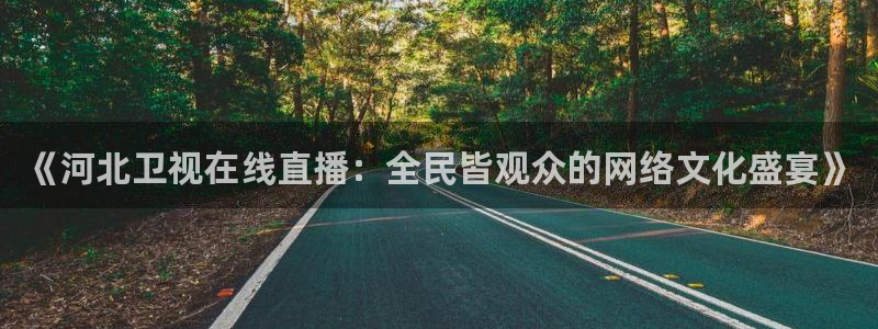 so米直播体育直播平台：《河北卫视在线直播：全民皆观众的网络文化盛宴》