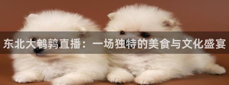 so米体育免费直播：东北大鹌鹑直播：一场独特的美食与文化盛宴