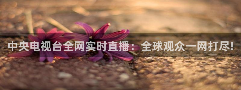 so米体育直播nba：中央电视台全网实时直播：全球观众一网打尽!